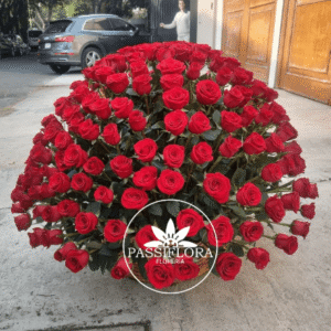 Hermoso